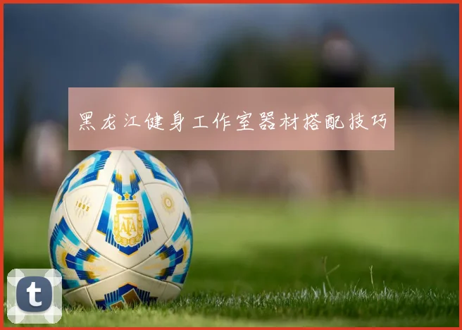 黑龙江健身工作室器材搭配技巧