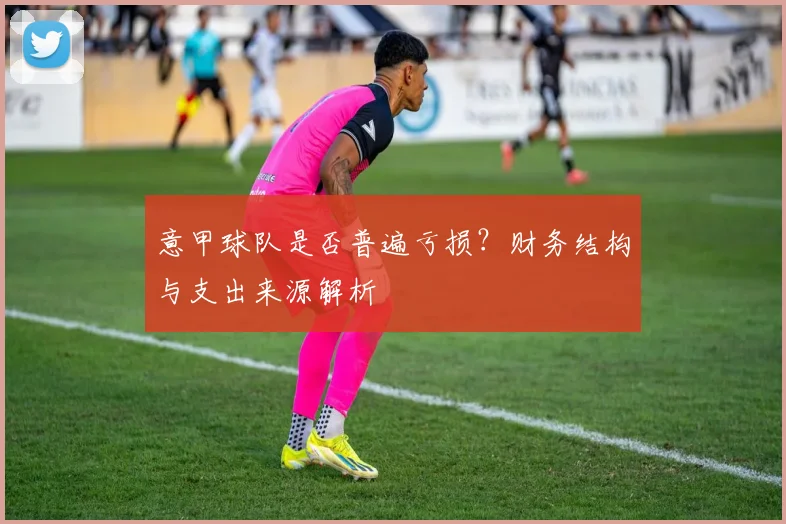 意甲球队是否普遍亏损？财务结构与支出来源解析