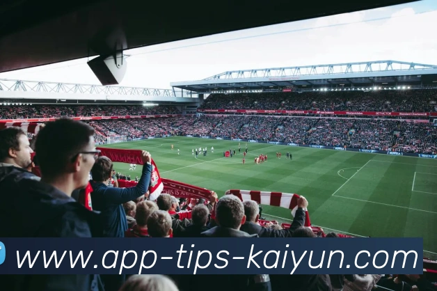 开云APPAPP 封面图